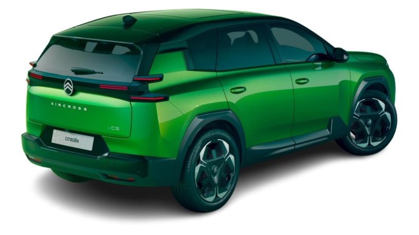 3445139 1.2 Hybrid 136 Max Edition 5dr e-DSC6